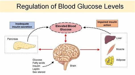 Journal of diabetes, metabolism and its complications